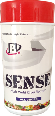 Sense