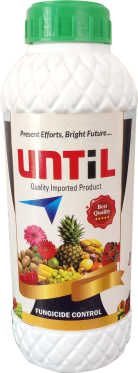 Until