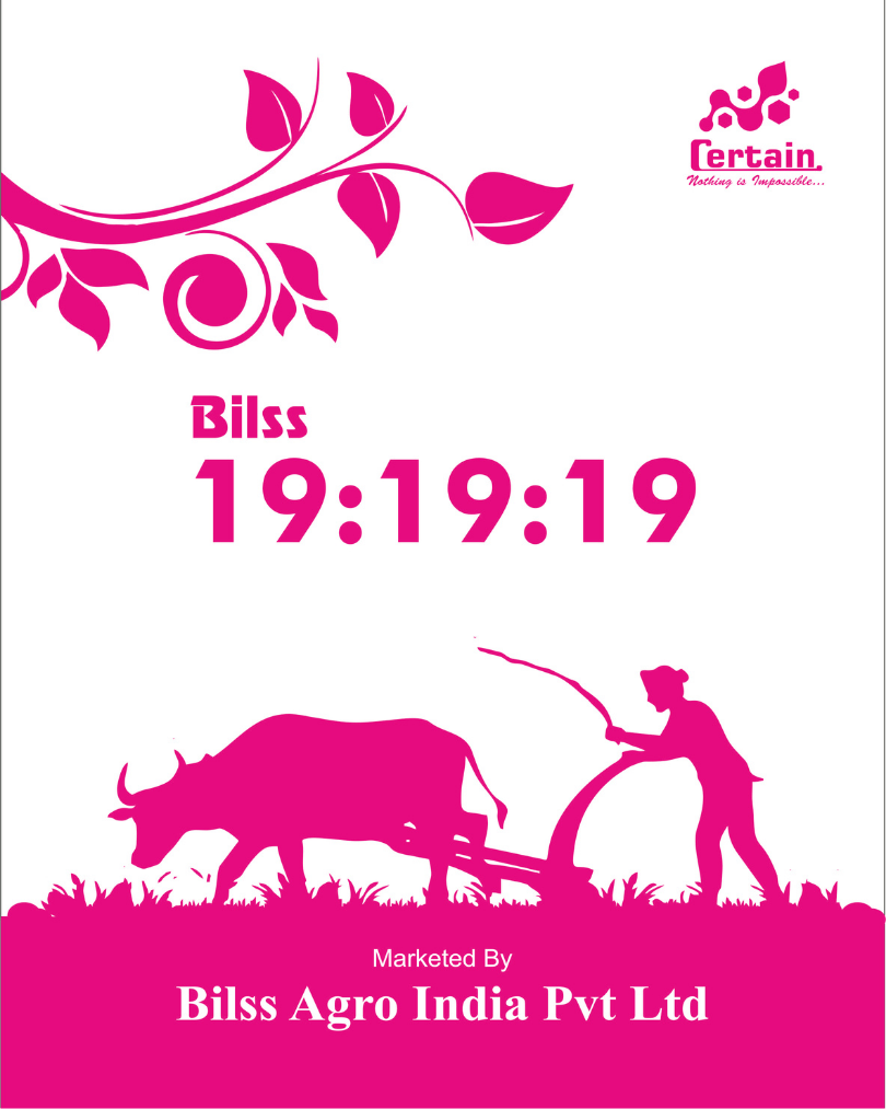 Bilss 19: 9:19